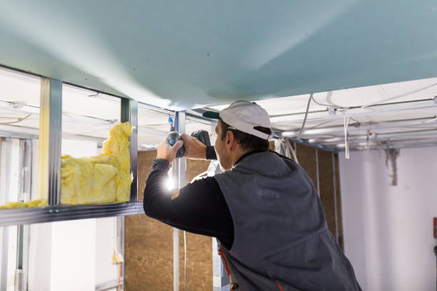 Best Blown-in Insulation in Verona, VA